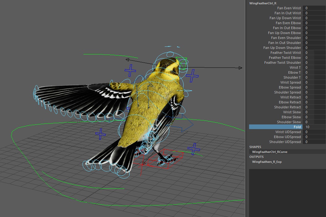 3D Bird Pack Townsends Warbler Male and Female Low-poly 3D model_37