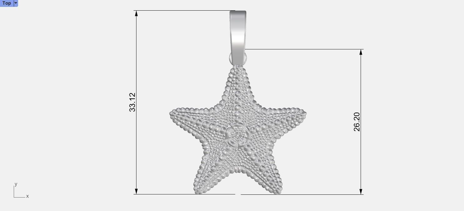starfish pendant 3D model 3D print model 3D print model_3