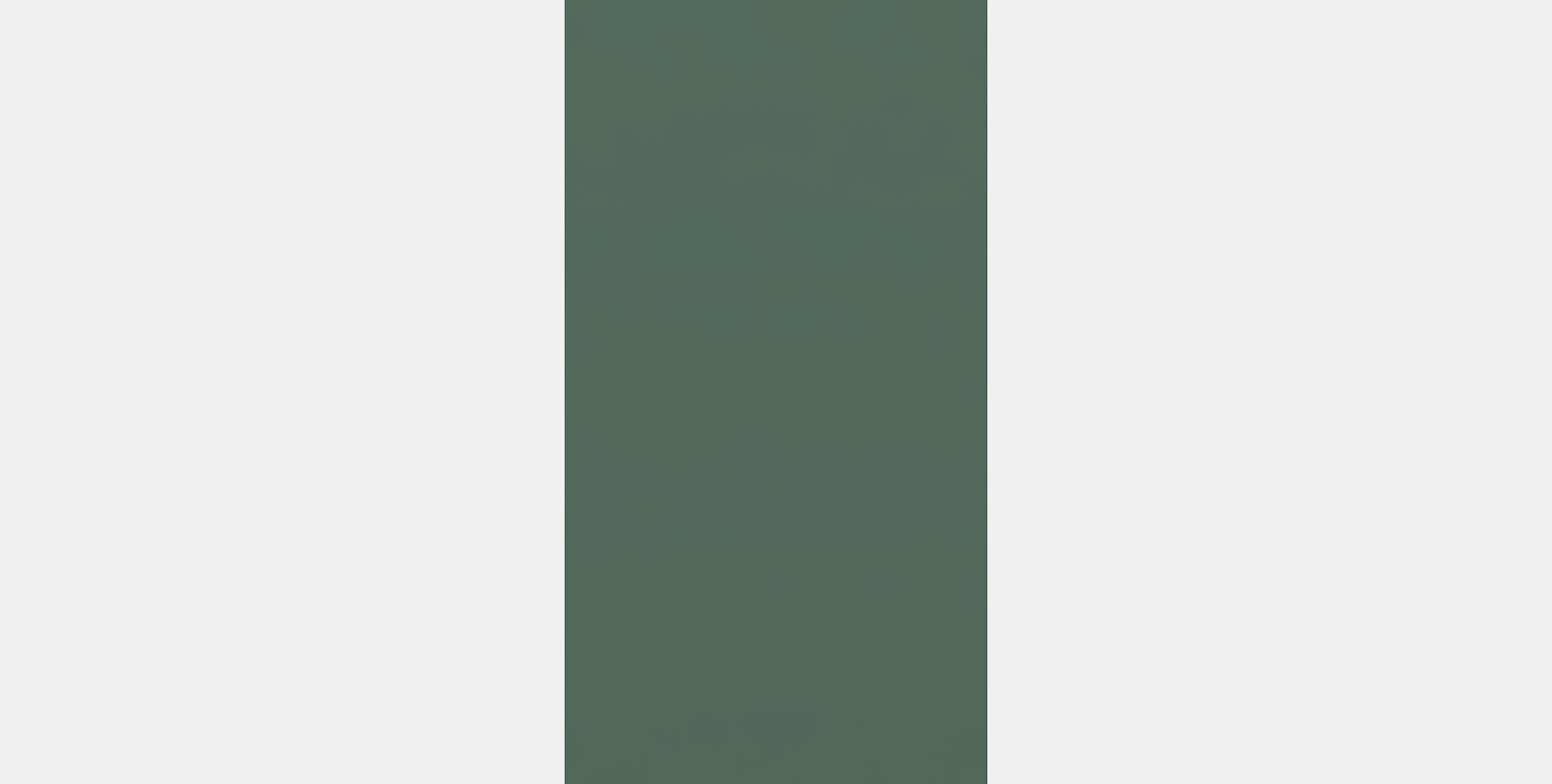 BODARP By 13 Low-poly 3D model_12