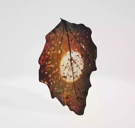 Sunset Leaf Silhouette