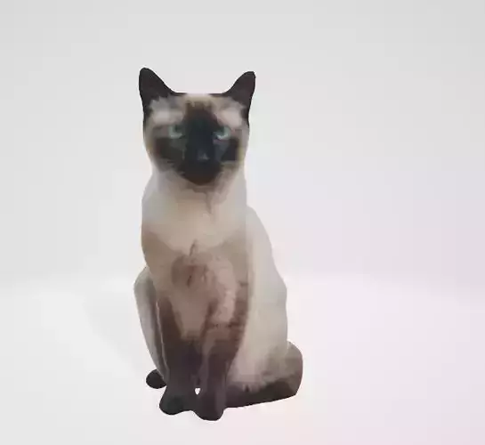 Realistic Siamese Cat 3D Model 3D model
