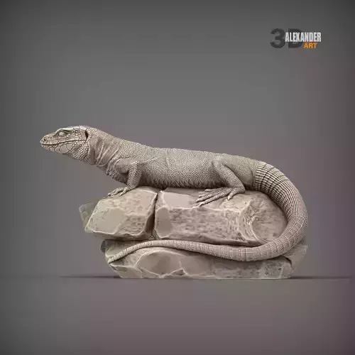Lacerta lepida 3D print model