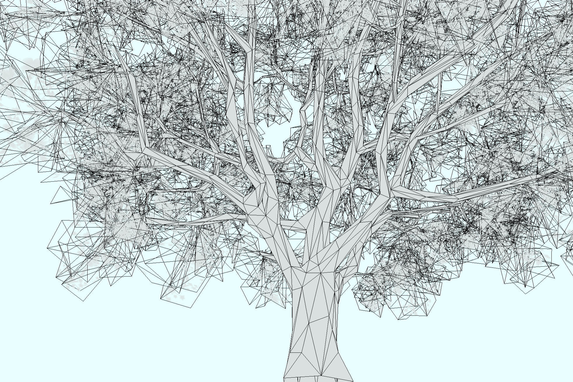 3d model low-poly blossom cherry tree Sakura Low-poly 3D model_5