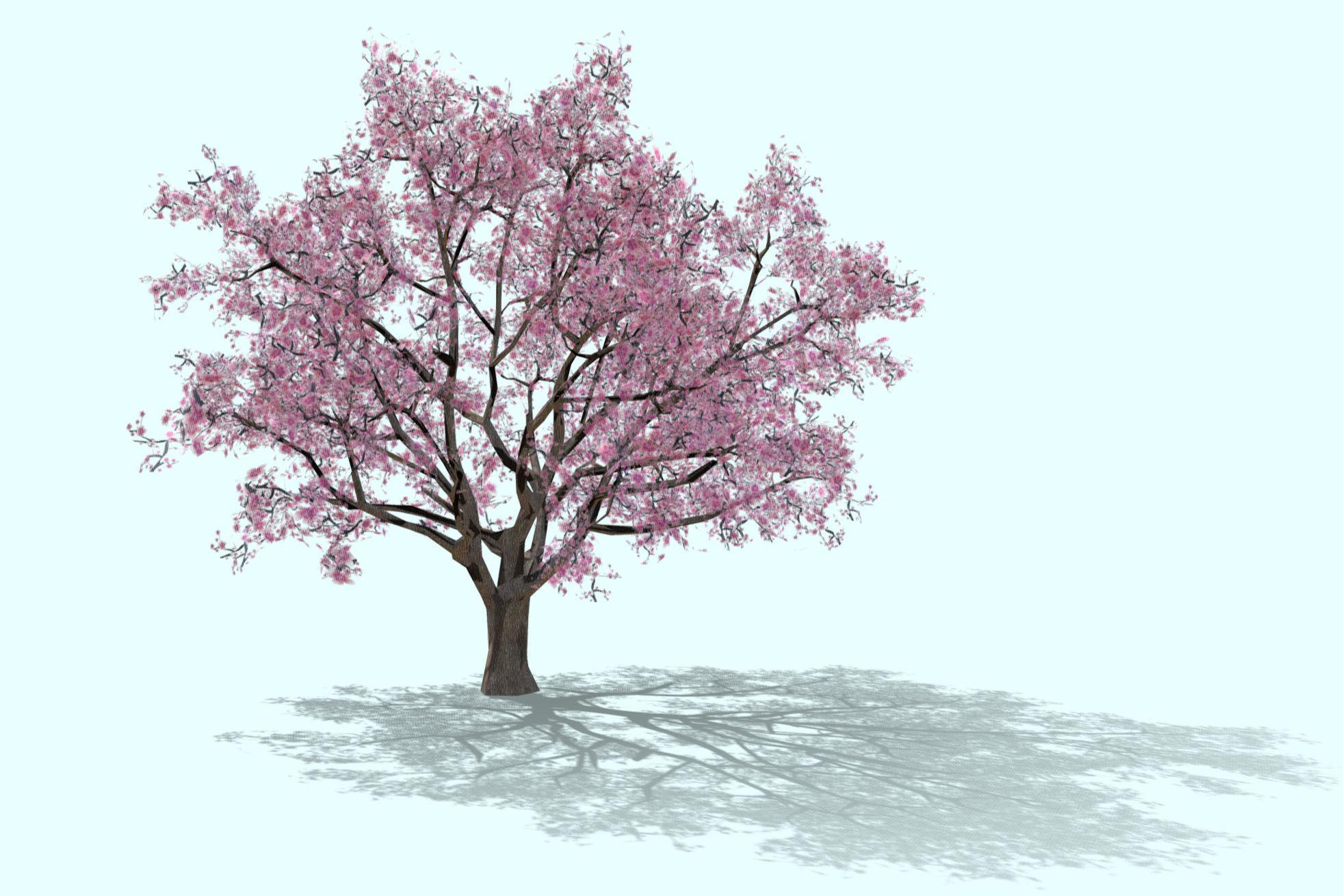 3d model low-poly blossom cherry tree Sakura Low-poly 3D model_2