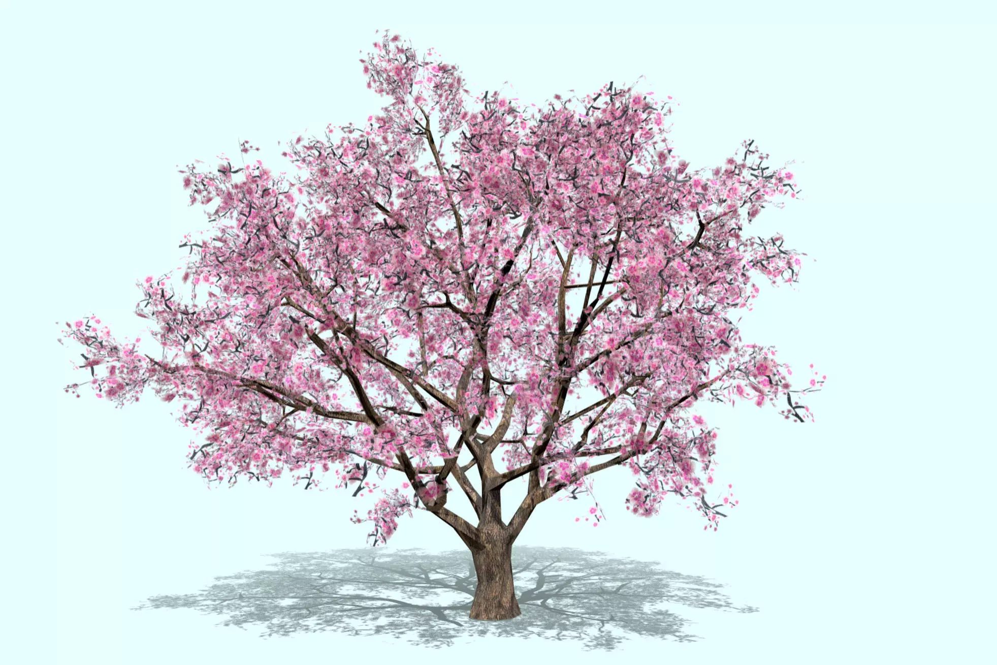 3d model low-poly blossom cherry tree Sakura Low-poly 3D model_0