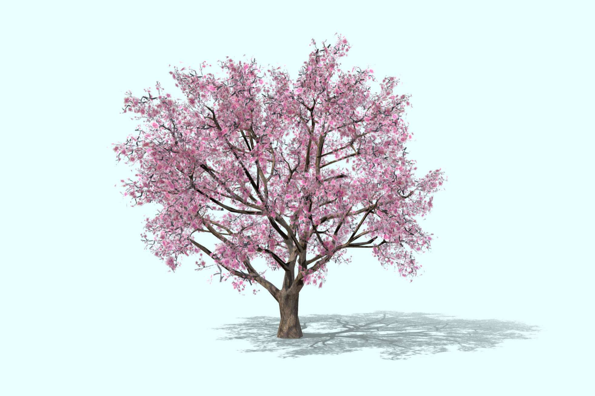 3d model low-poly blossom cherry tree Sakura Low-poly 3D model_1