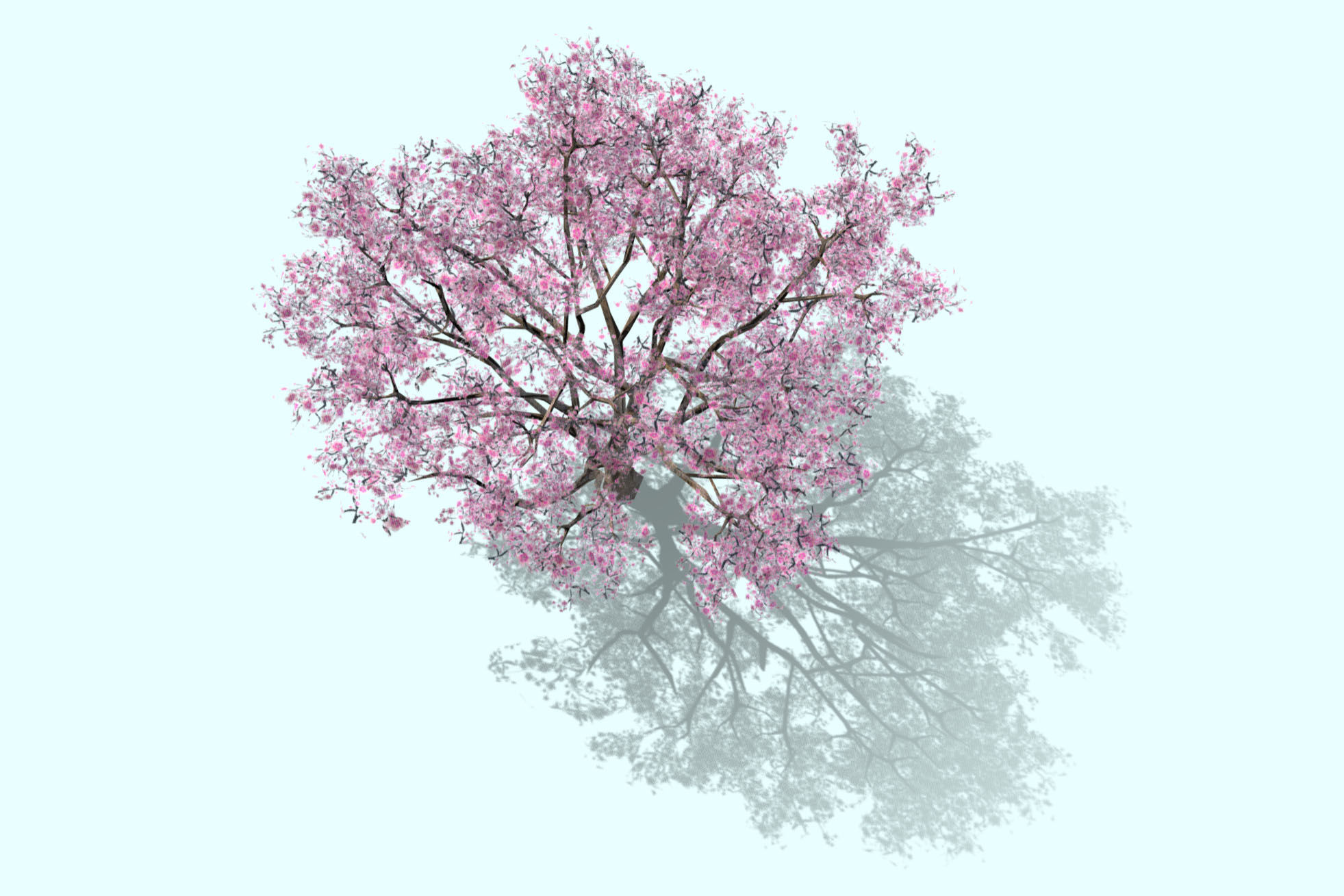 3d model low-poly blossom cherry tree Sakura Low-poly 3D model_3