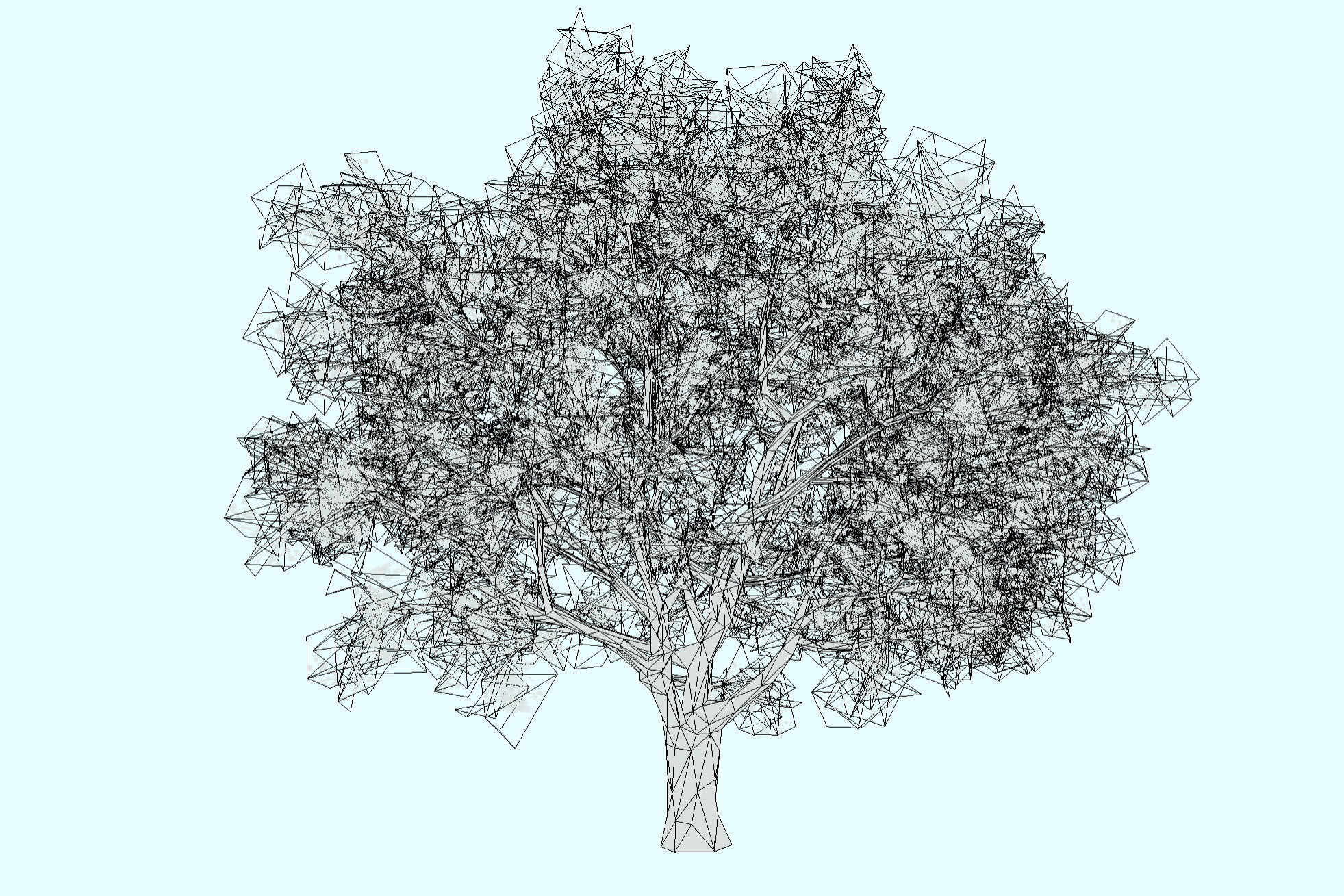 3d model low-poly blossom cherry tree Sakura Low-poly 3D model_4