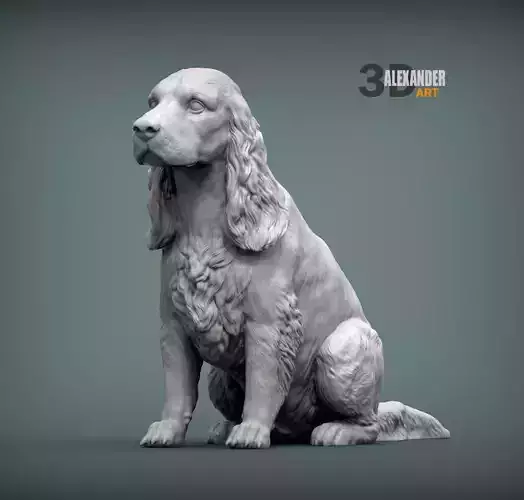 English cocker spaniel  sitting