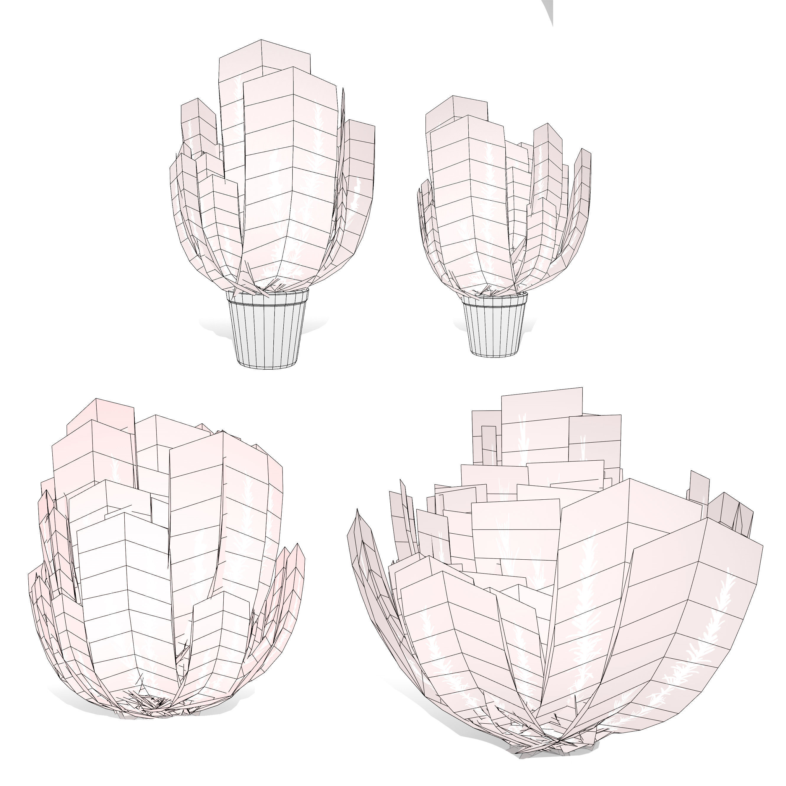 Rosemary Shrub 3D Model Low-poly 3D model_7