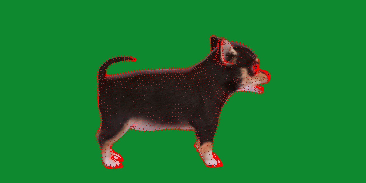 Short Haired Chihuahua Puppy Dog Low-poly 3D model_24