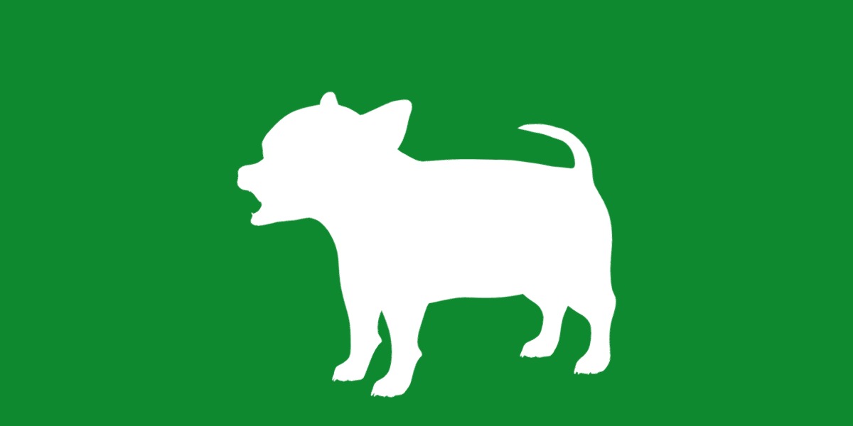 Short Haired Chihuahua Puppy Dog Low-poly 3D model_37