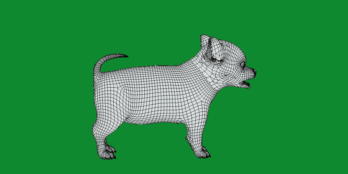 Short Haired Chihuahua Puppy Dog Low-poly 3D model_23