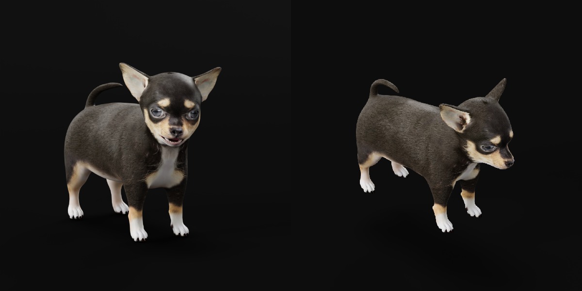Short Haired Chihuahua Puppy Dog Low-poly 3D model_4