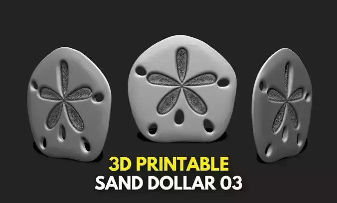 Sand Dollar 03 - Aquarium - Sea Life 3D print model