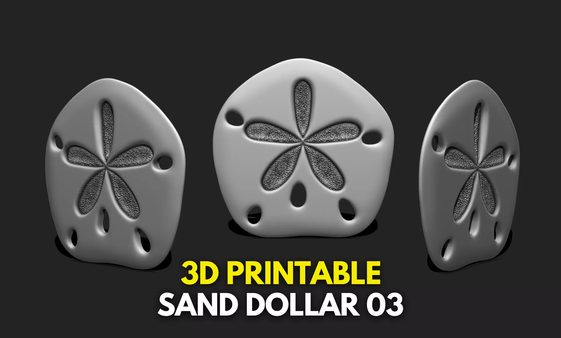 Sand Dollar 03 - Aquarium - Sea Life 3D print model_0