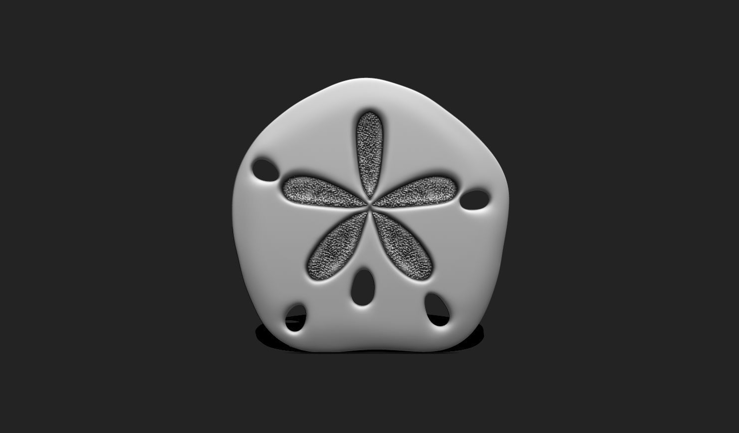 Sand Dollar 03 - Aquarium - Sea Life 3D print model_2