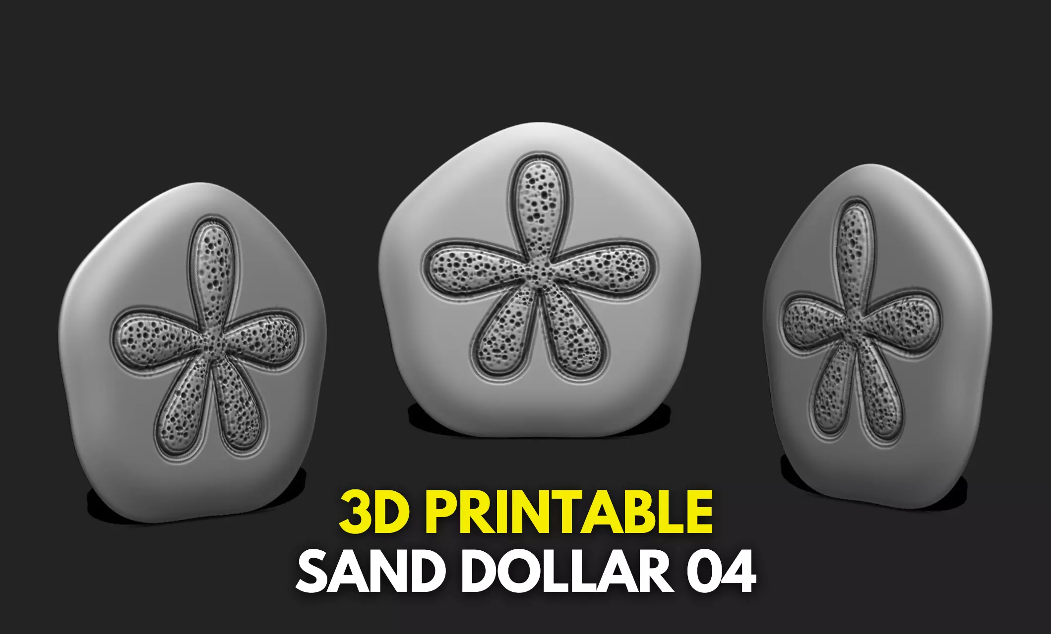 Sand Dollar 04 - Aquarium - Sea Life 3D print model_0
