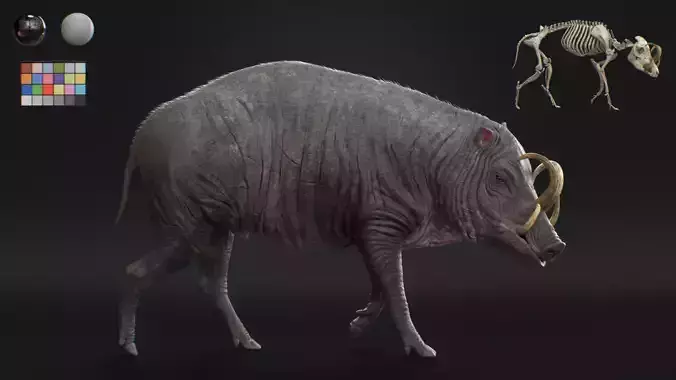 Babirusa warthog 3D model