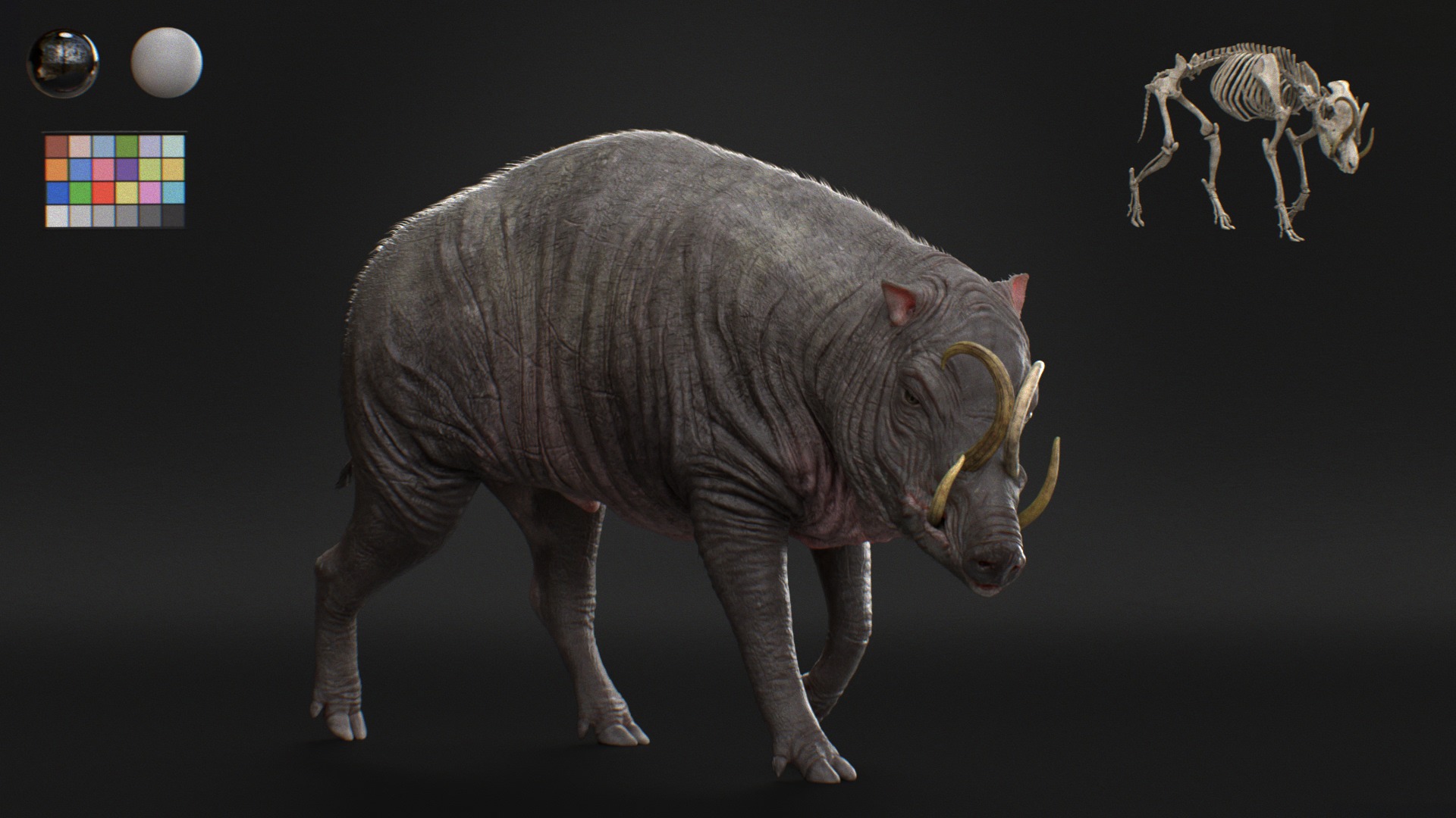 Babirusa warthog 3D model_5