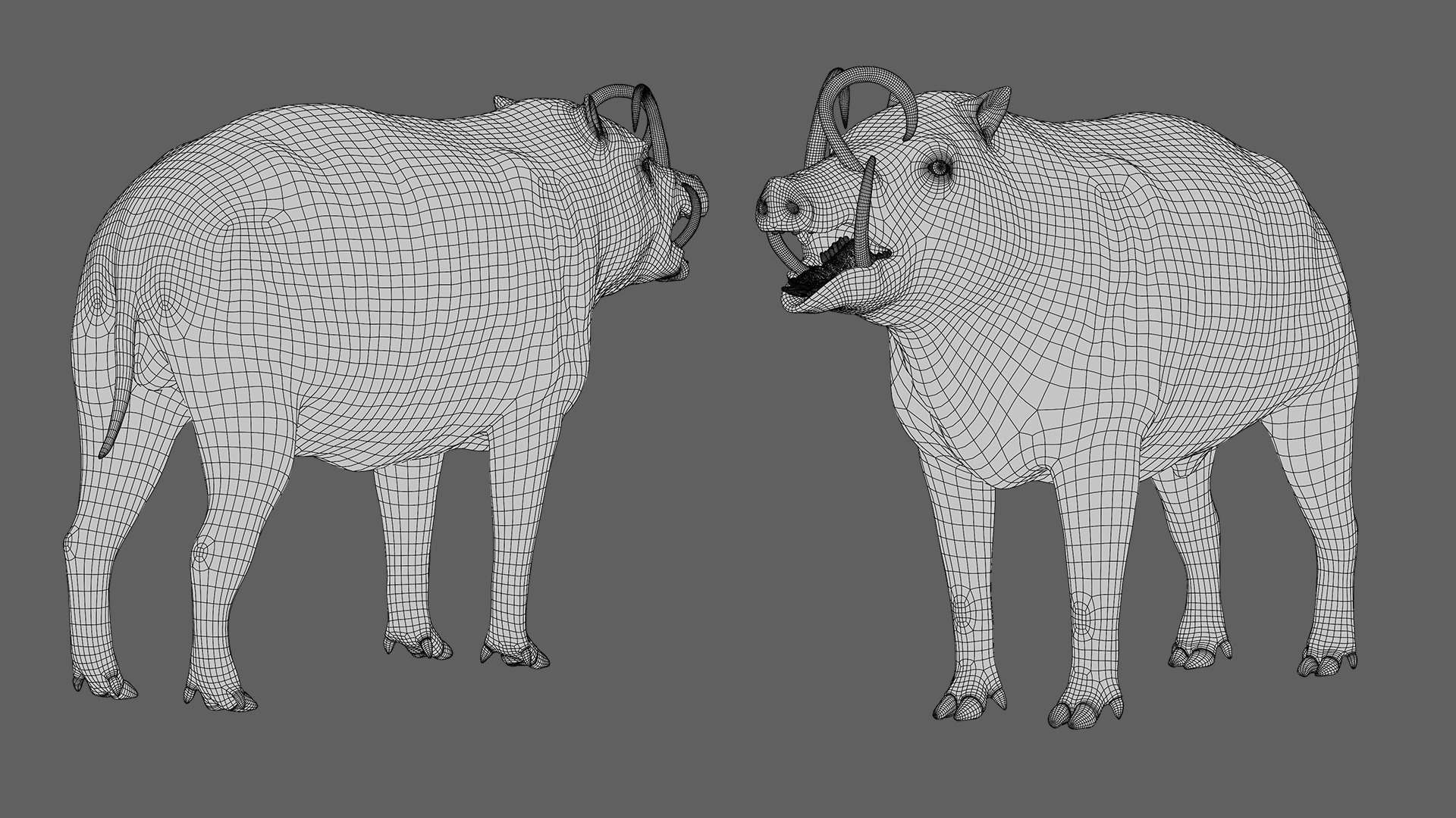 Babirusa warthog 3D model_18