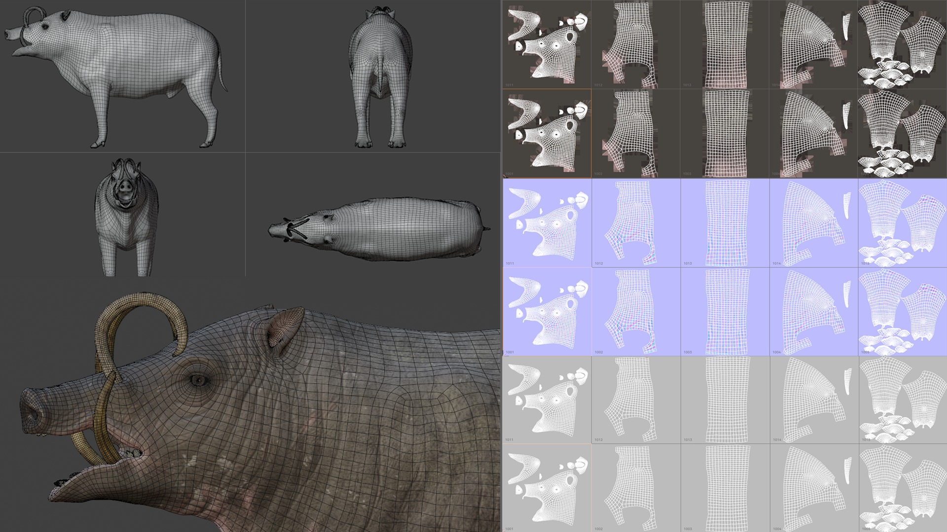 Babirusa warthog 3D model_7