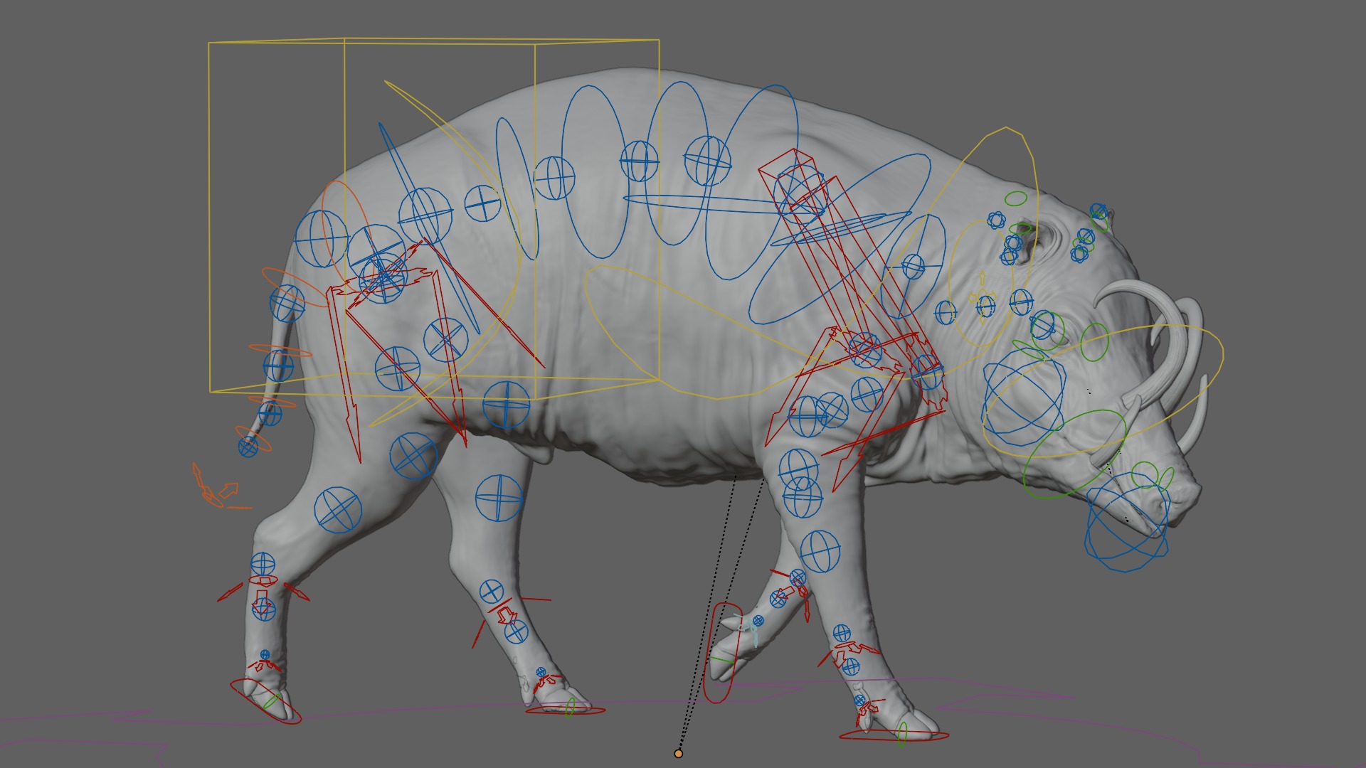 Babirusa warthog 3D model_16