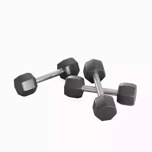 Steel Dumbbell 01 Low-poly 3D model