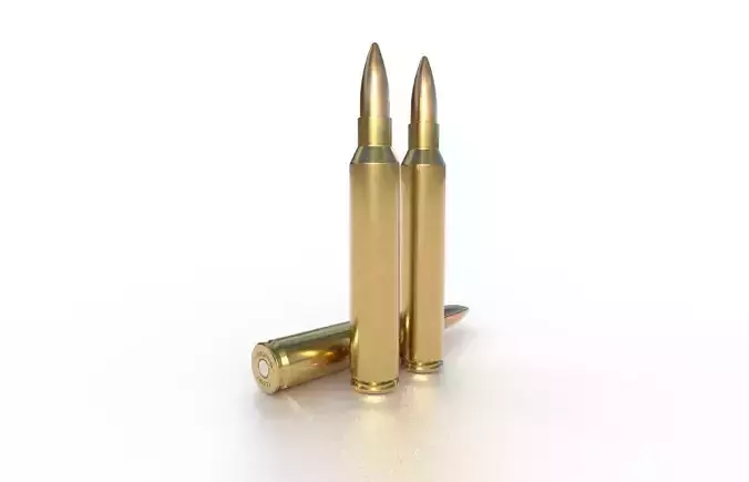300 Remington Ultra Magnum Ammo