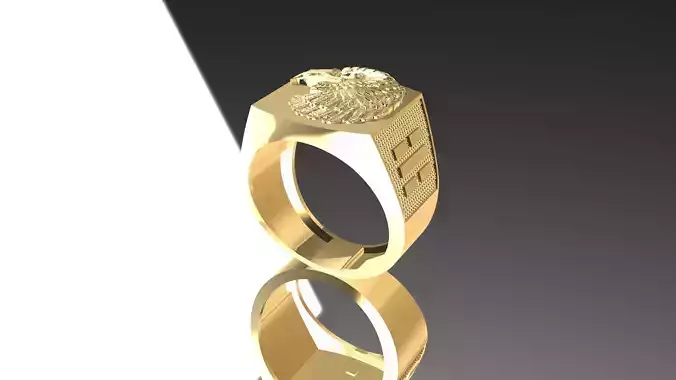 Eagle Rings Texture 3D print model