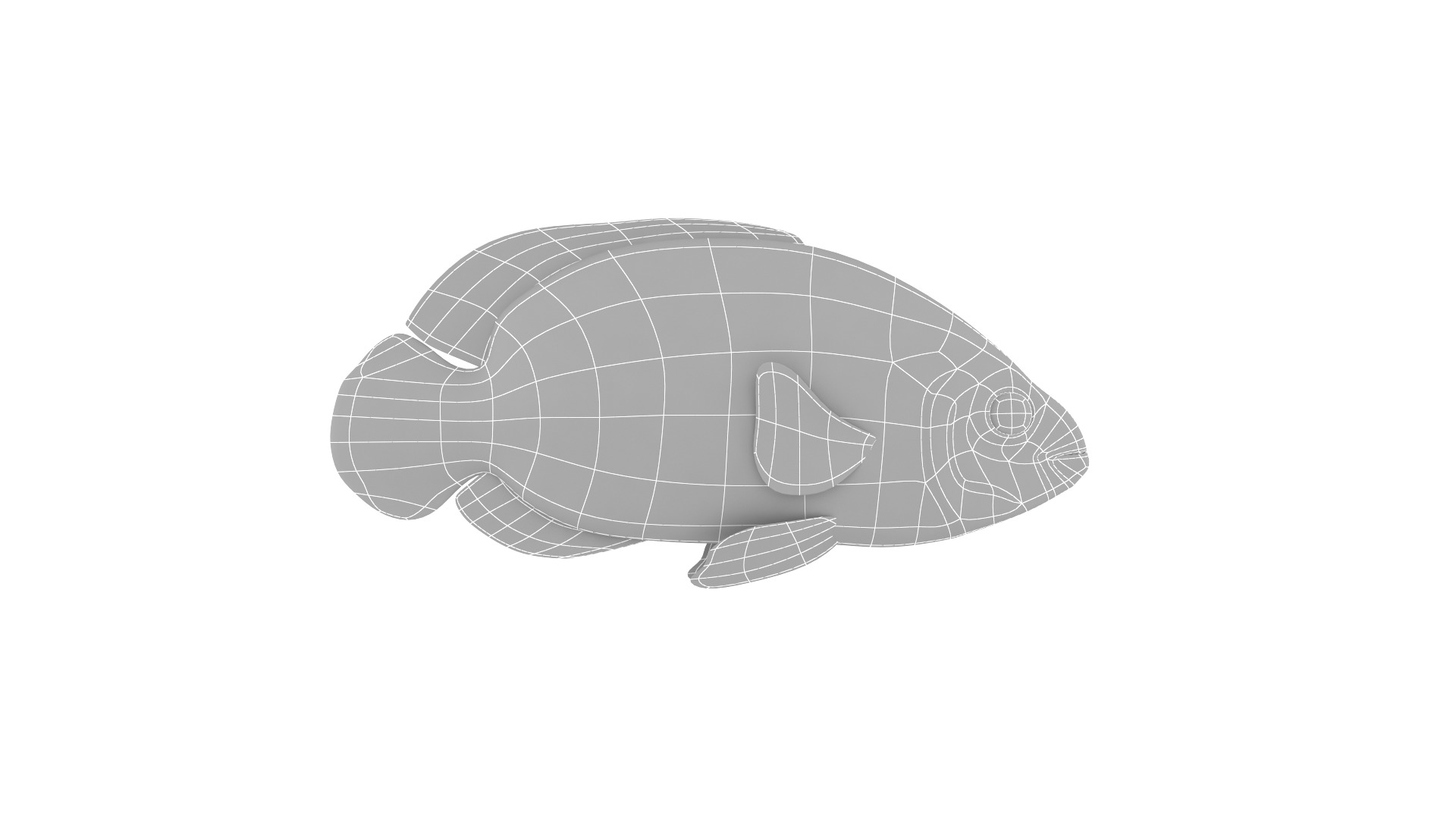 Fish Collection 3D model_20