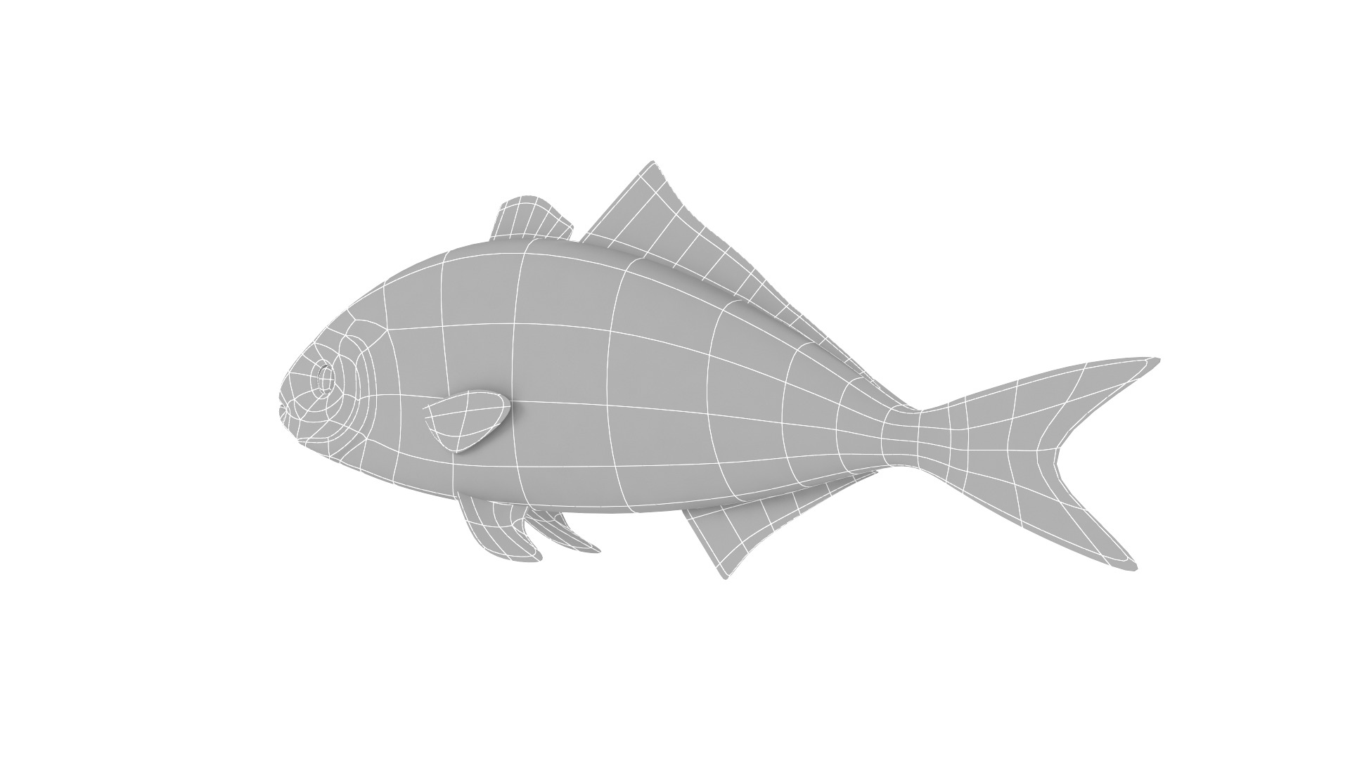 Fish Collection 3D model_25