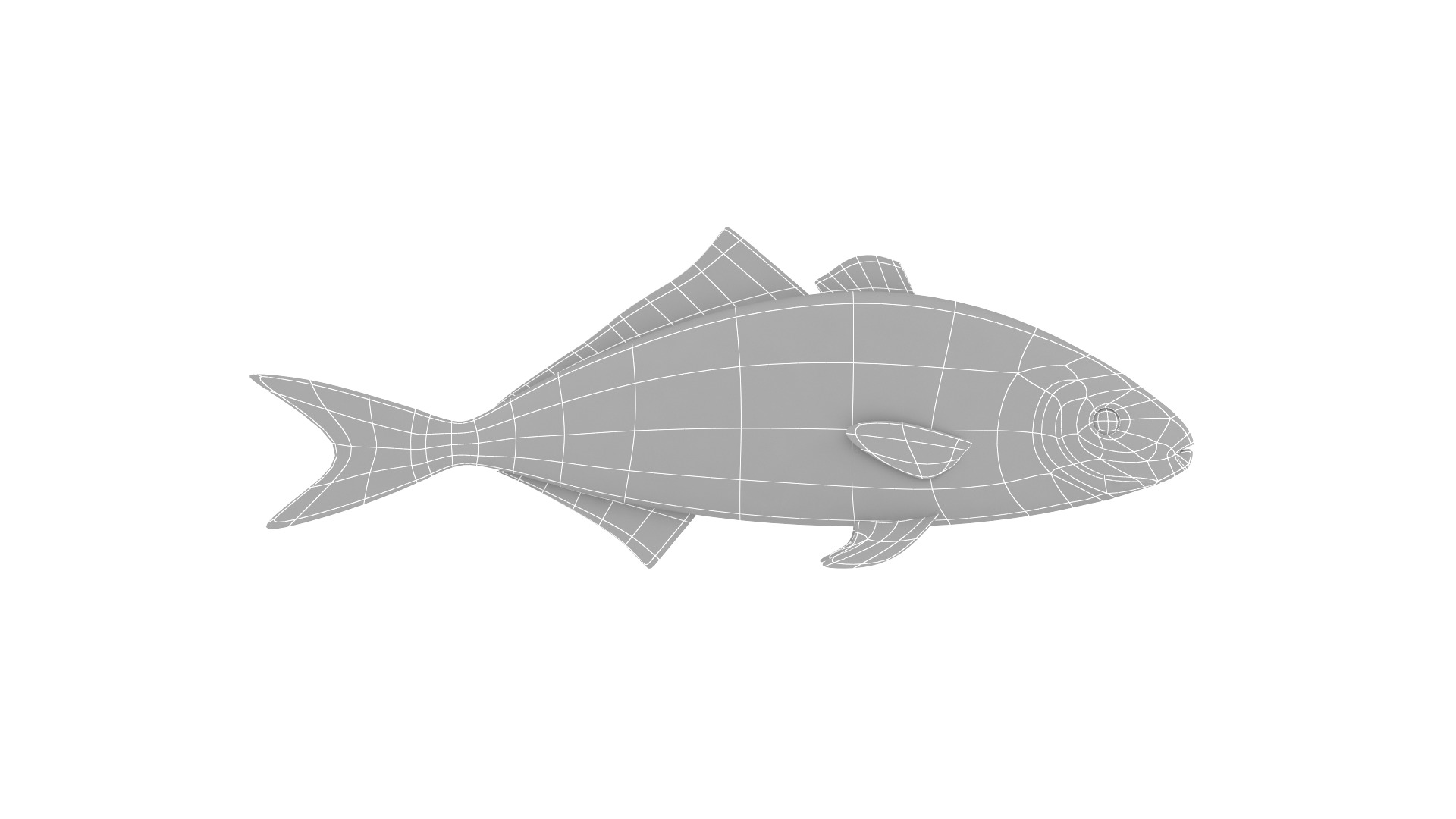 Fish Collection 3D model_23