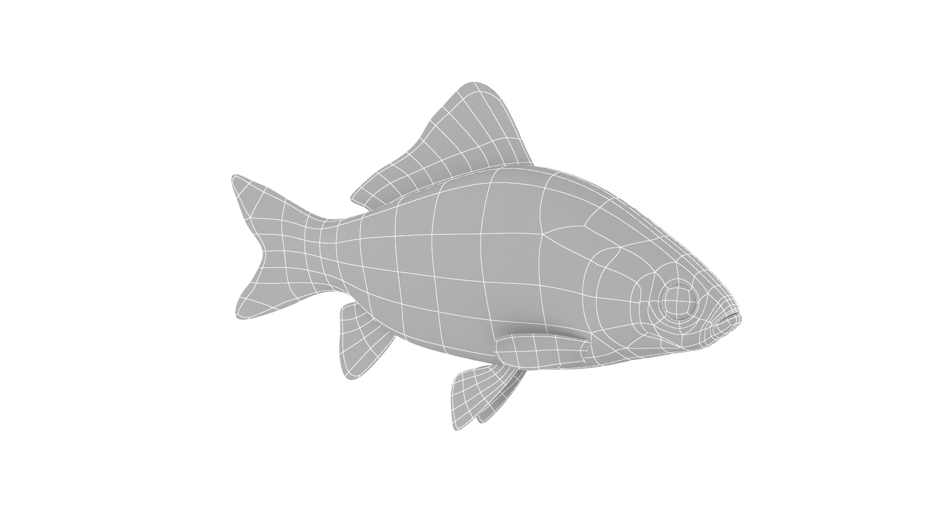 Fish Collection 3D model_30