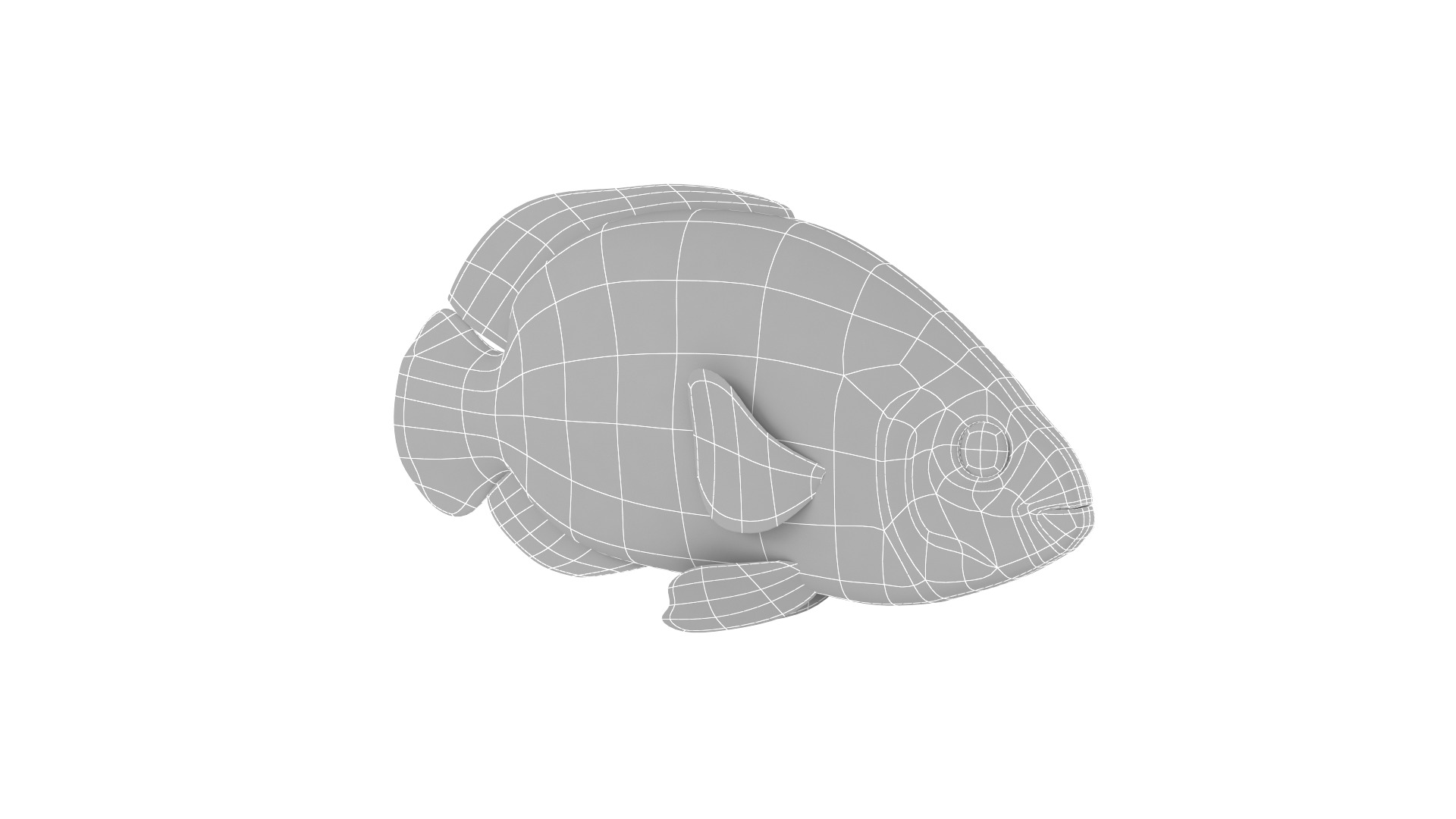 Fish Collection 3D model_21
