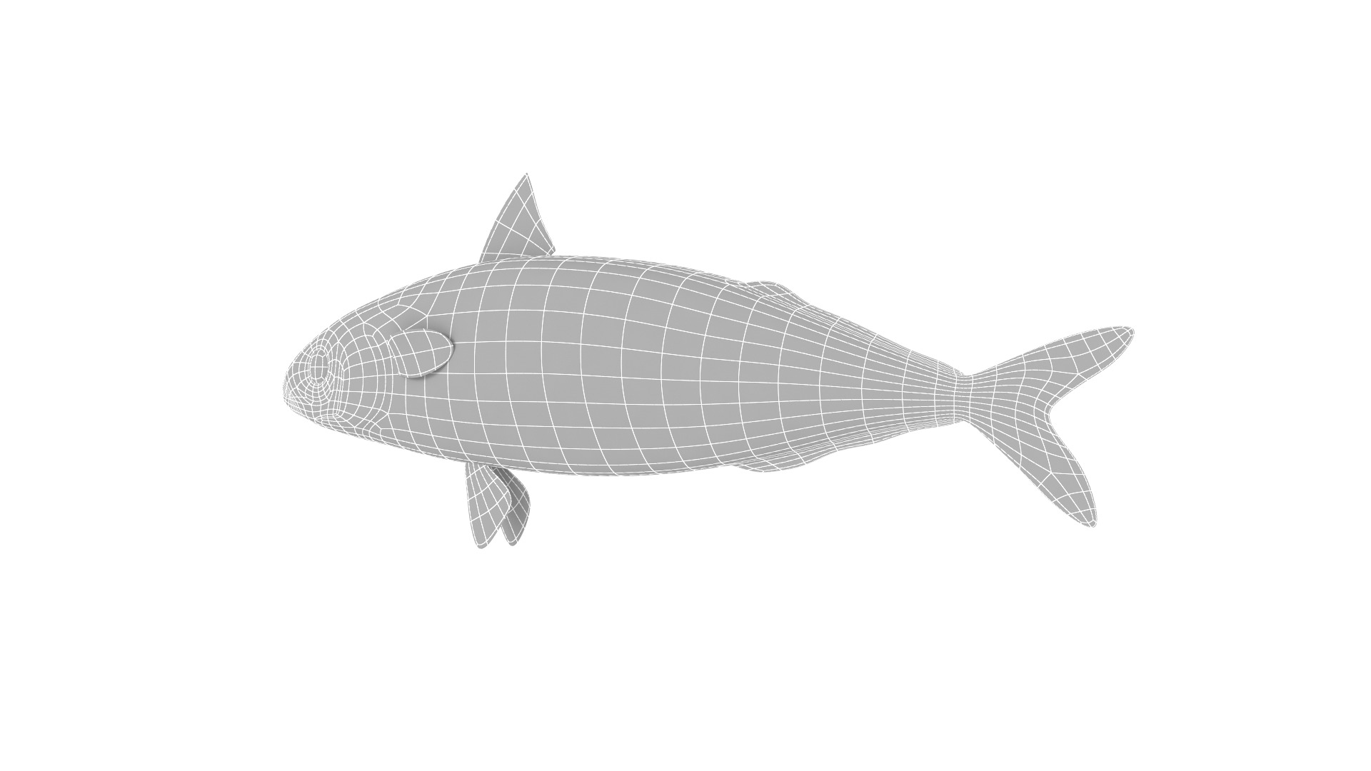 Fish Collection 3D model_28