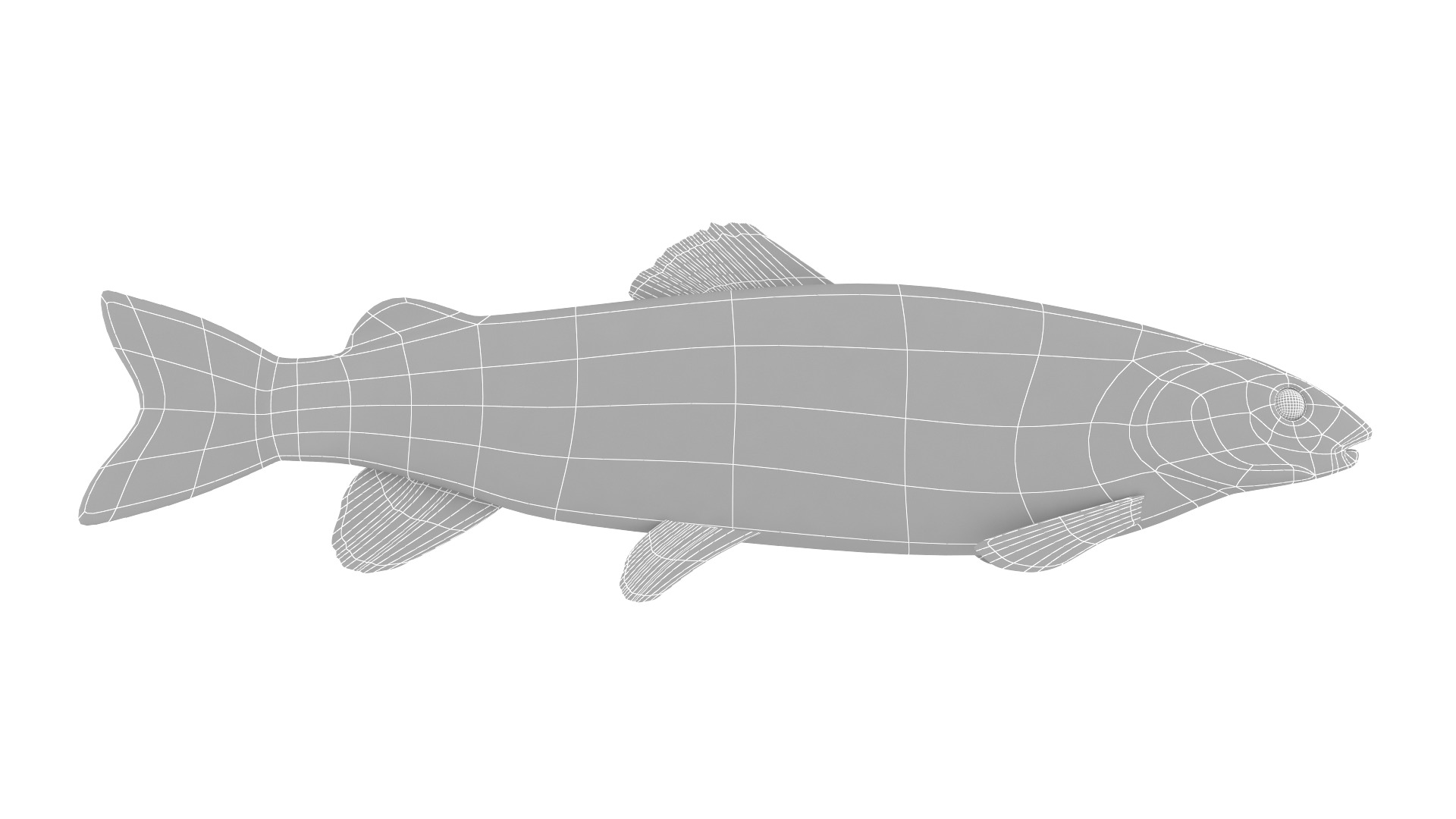 Fish Collection 3D model_35