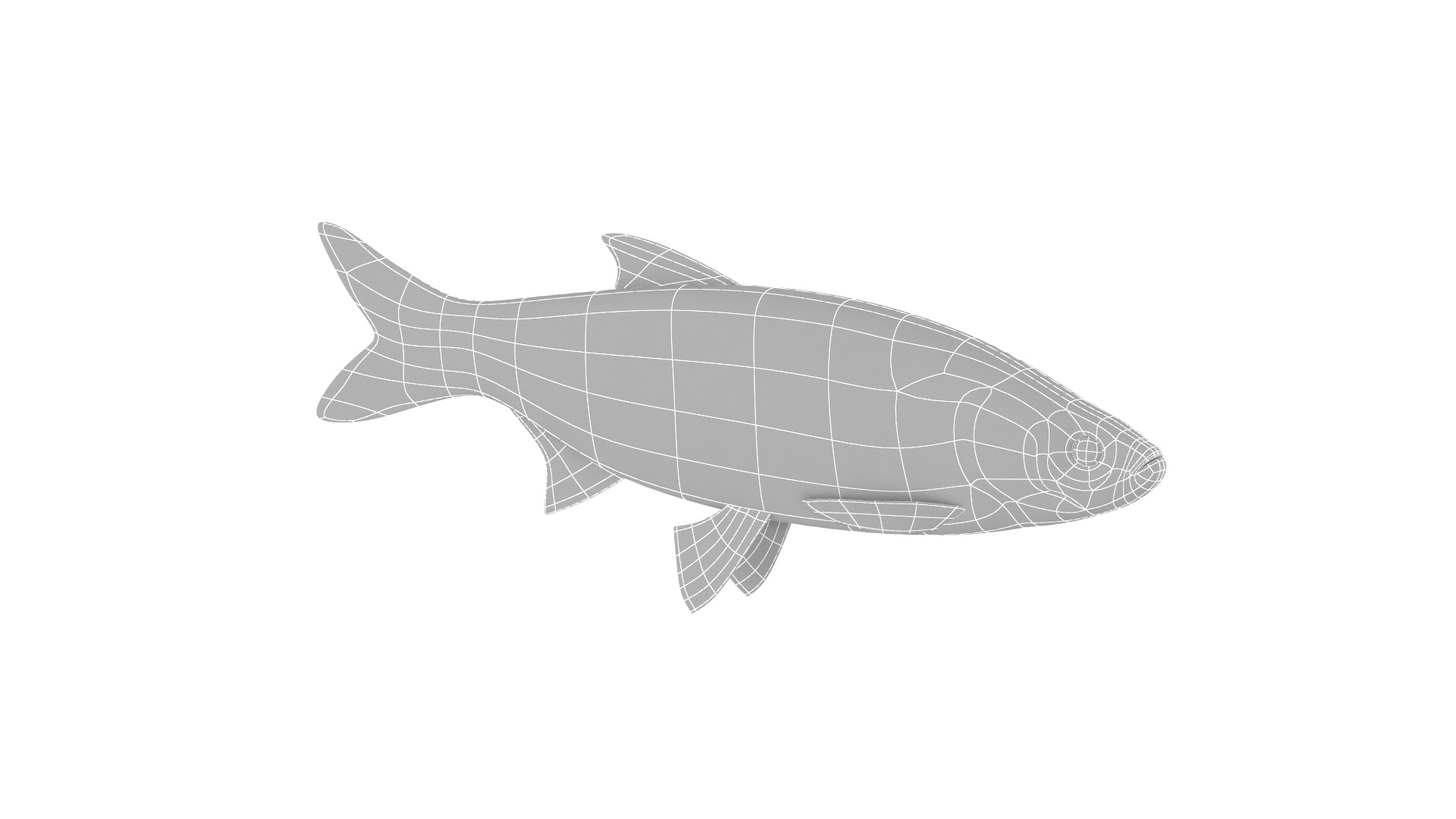 Fish Collection 3D model_33