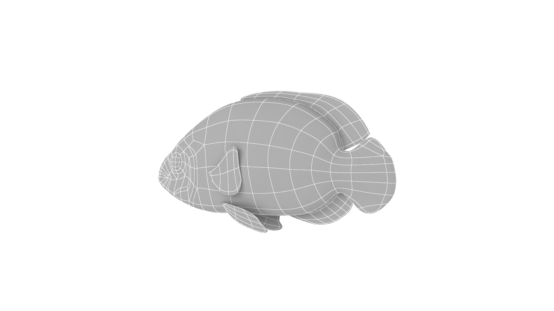 Fish Collection 3D model_22