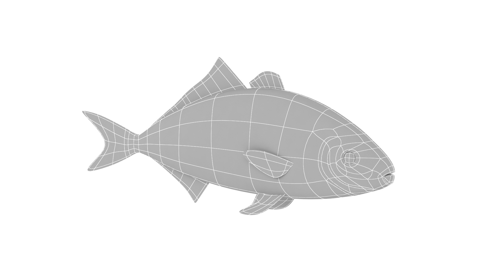 Fish Collection 3D model_24