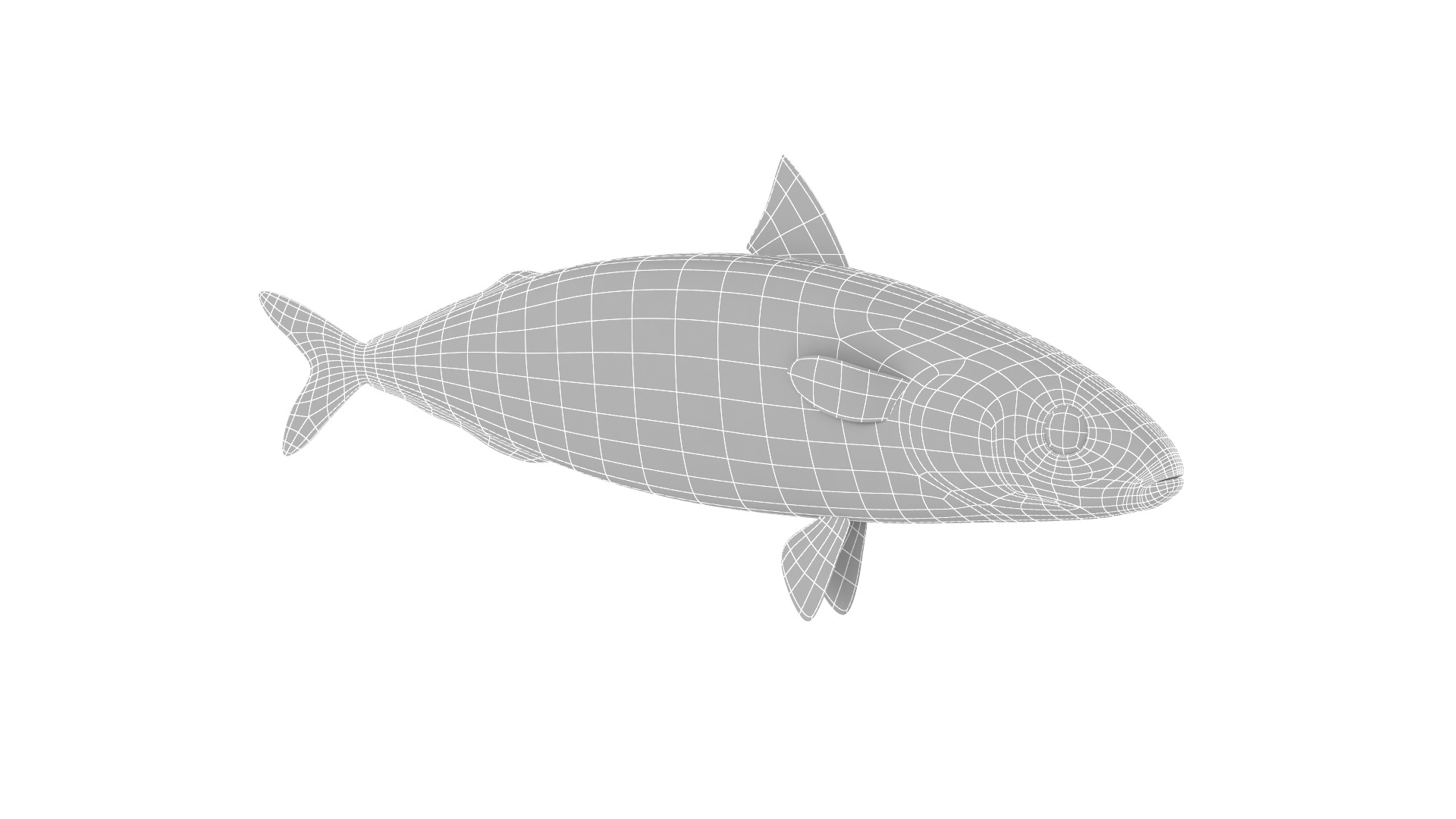 Fish Collection 3D model_27