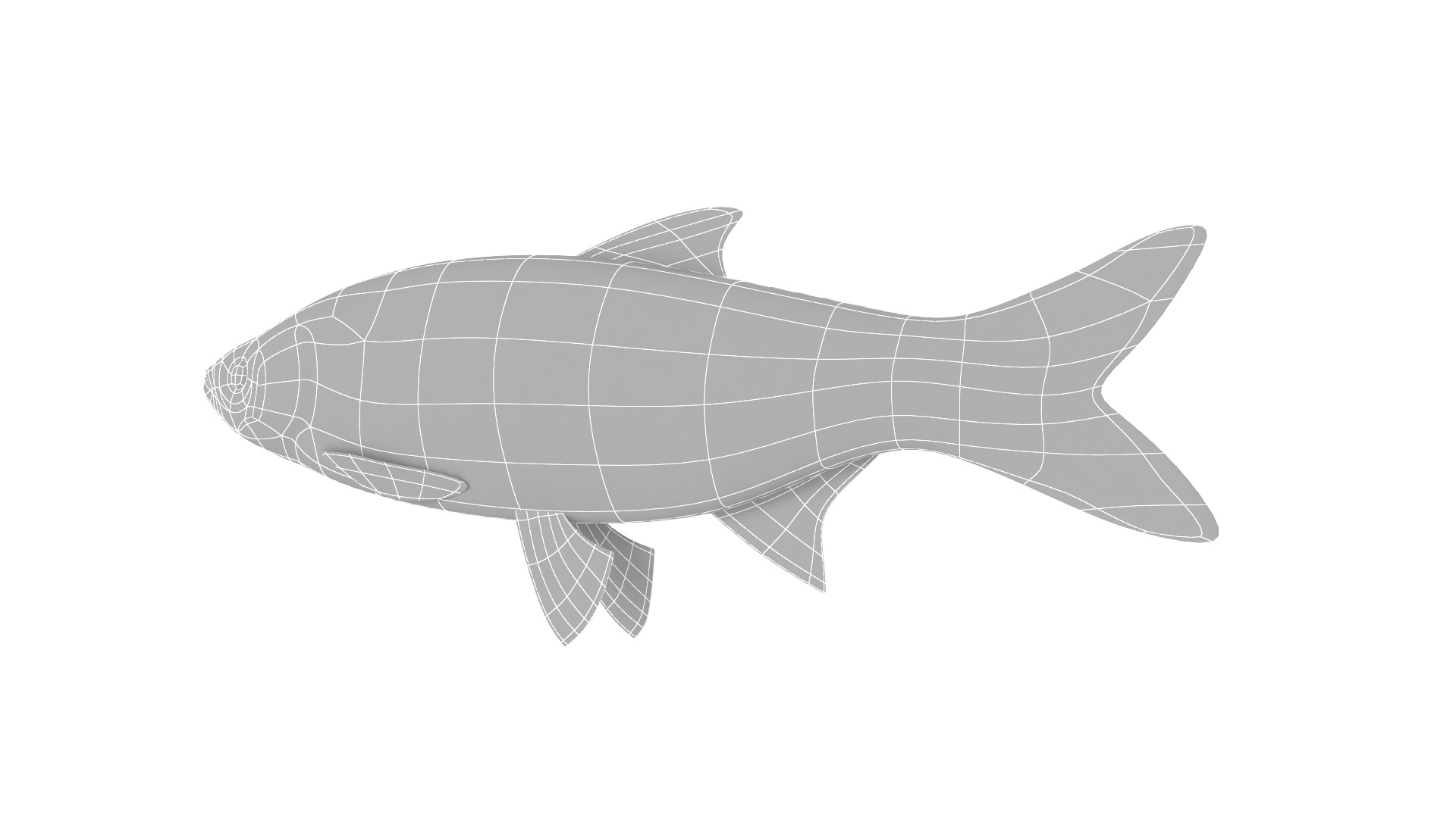 Fish Collection 3D model_34