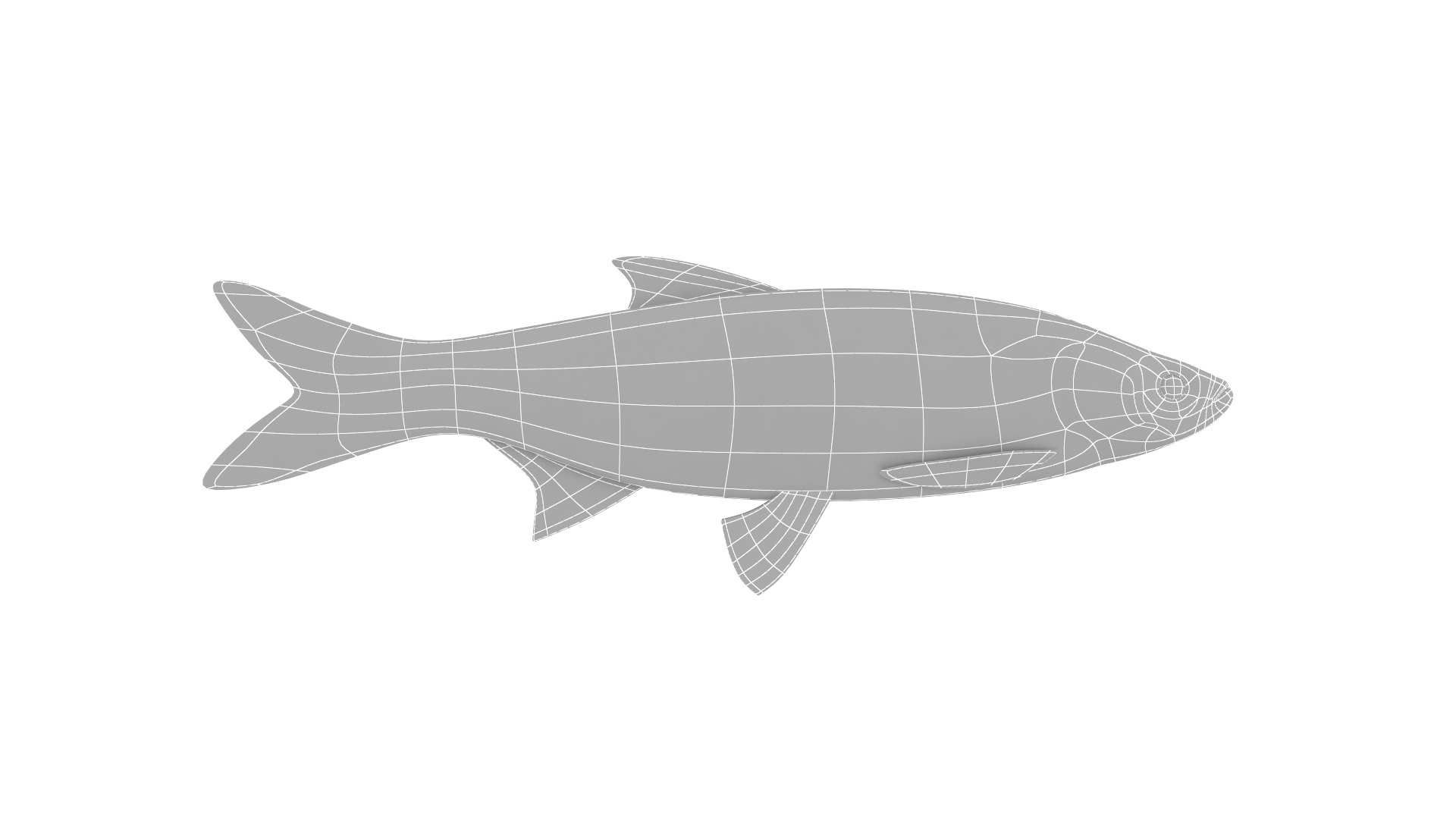 Fish Collection 3D model_32