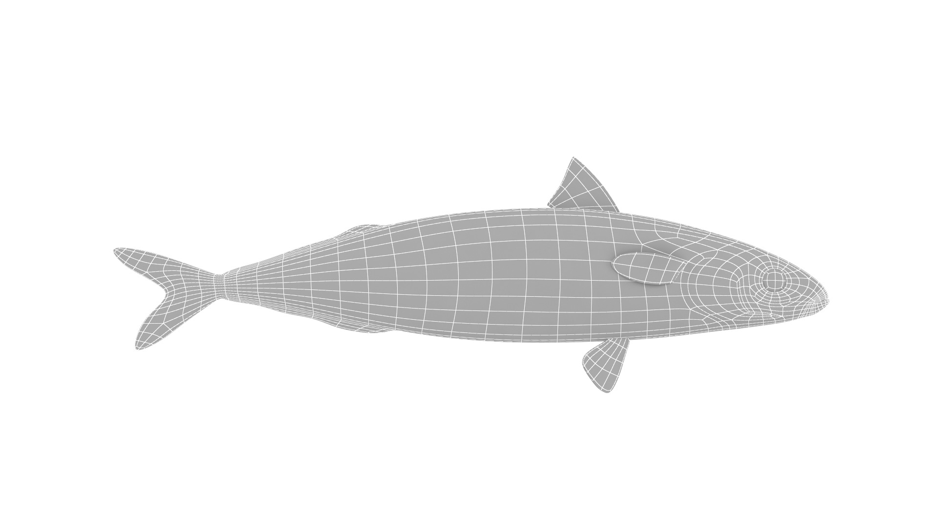 Fish Collection 3D model_26