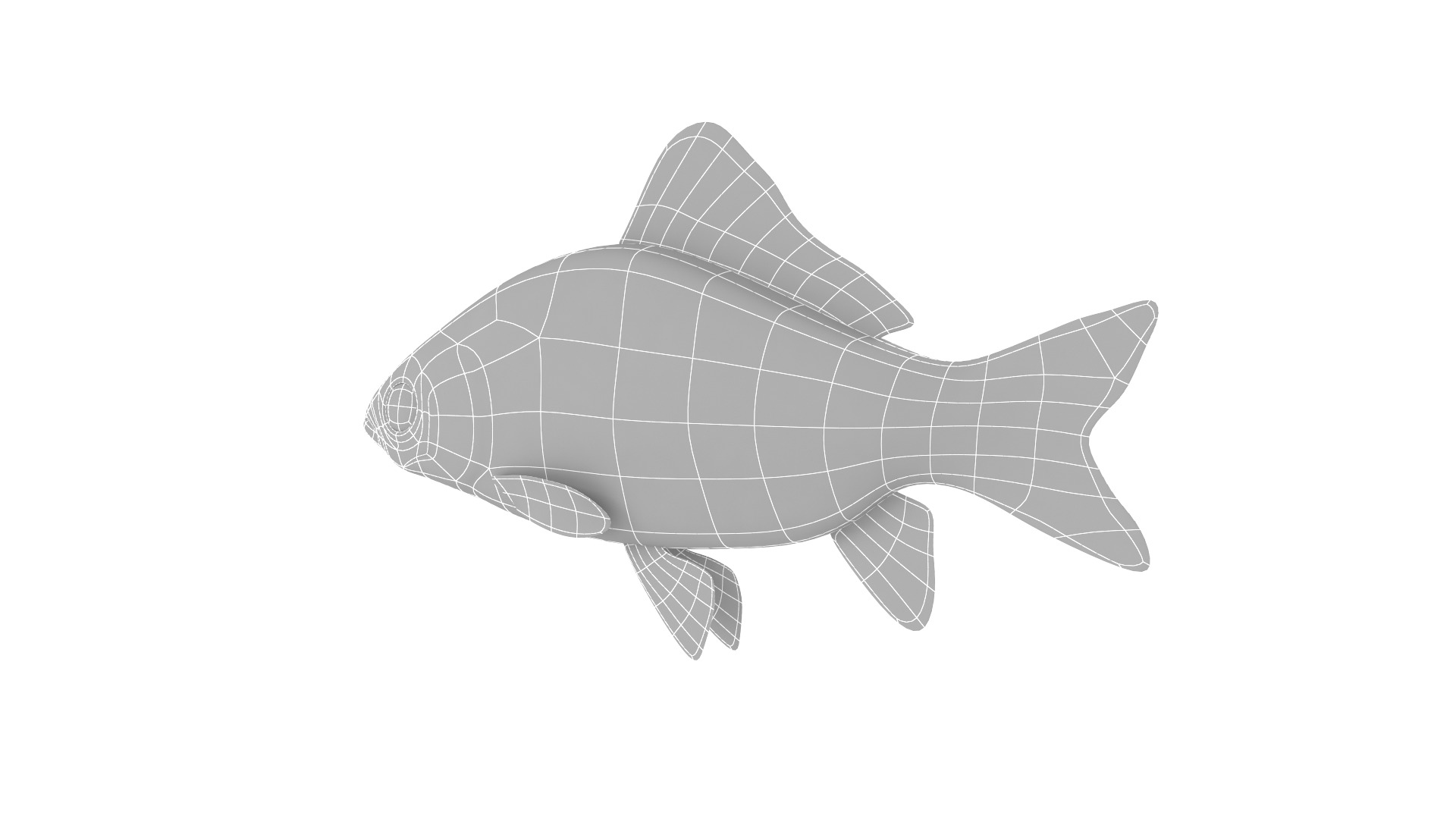 Fish Collection 3D model_31