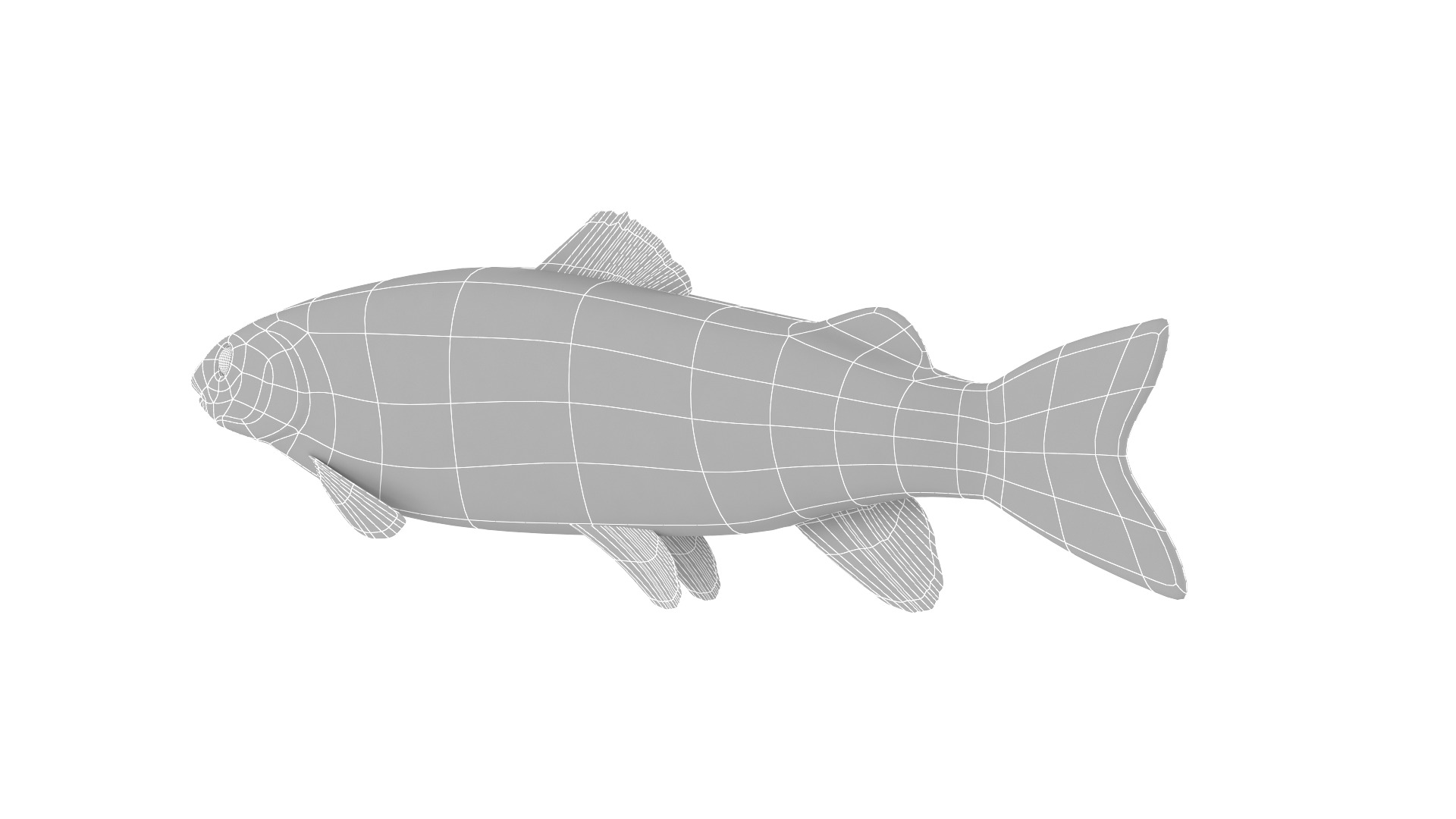 Fish Collection 3D model_37