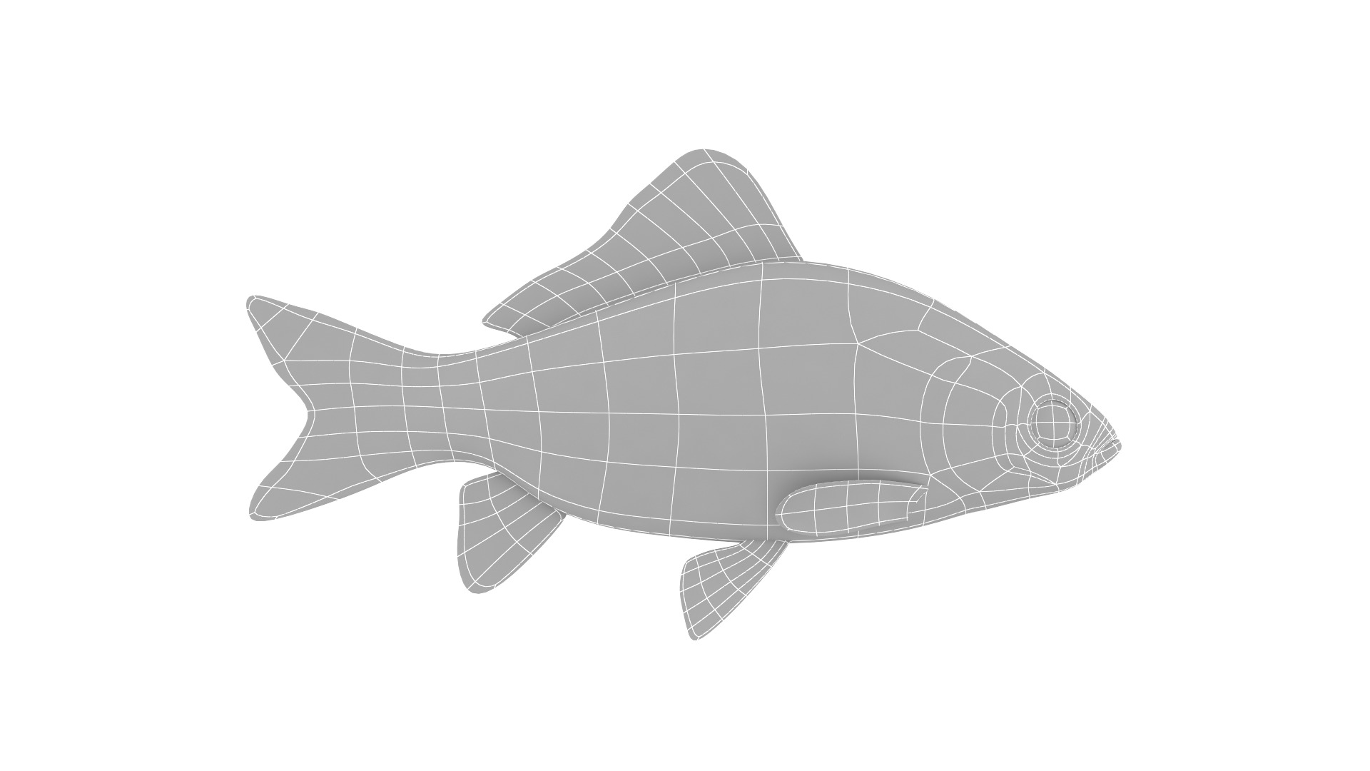 Fish Collection 3D model_29