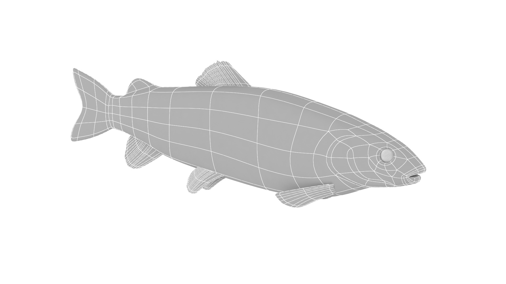 Fish Collection 3D model_36