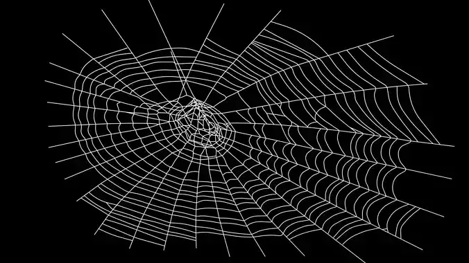 Spider Web
