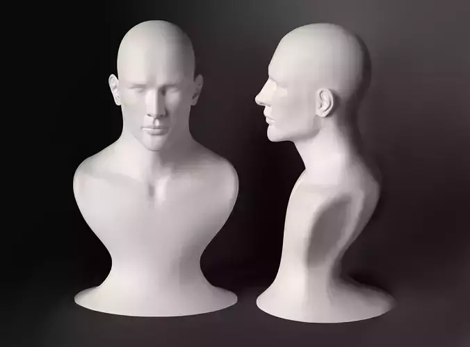 Man bust realistic head